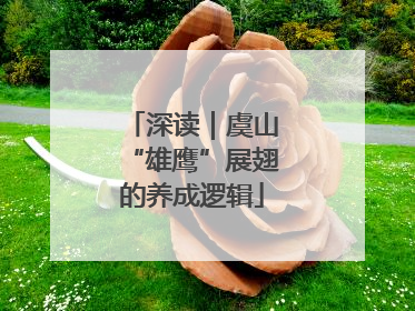 深读｜虞山“雄鹰”展翅的养成逻辑