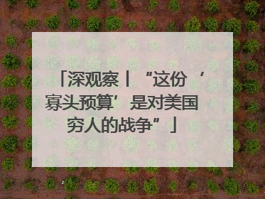深观察丨“这份‘寡头预算’是对美国穷人的战争”