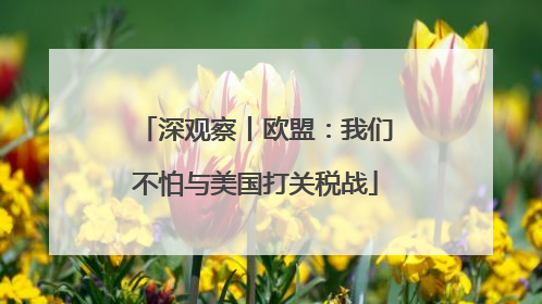 深观察丨欧盟：我们不怕与美国打关税战