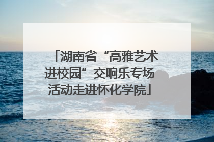 湖南省“高雅艺术进校园”交响乐专场活动走进怀化学院