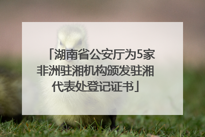 湖南省公安厅为5家非洲驻湘机构颁发驻湘代表处登记证书