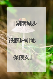 湖南城步铁腕护耕地保粮安