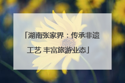 湖南张家界：传承非遗工艺 丰富旅游业态
