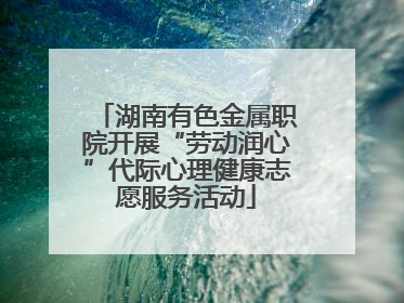 湖南有色金属职院开展“劳动润心”代际心理健康志愿服务活动