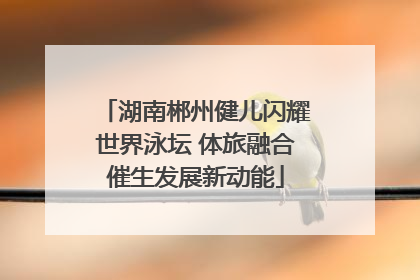 湖南郴州健儿闪耀世界泳坛 体旅融合催生发展新动能