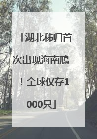 湖北秭归首次出现海南鳽！全球仅存1000只