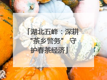 湖北五峰：深耕“茶乡警务” 守护春茶经济