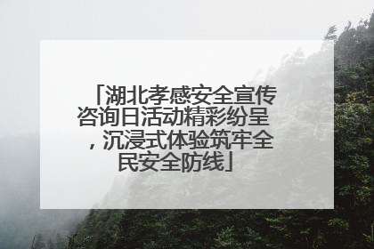 湖北孝感安全宣传咨询日活动精彩纷呈，沉浸式体验筑牢全民安全防线