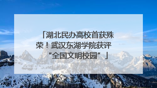 湖北民办高校首获殊荣！武汉东湖学院获评“全国文明校园”