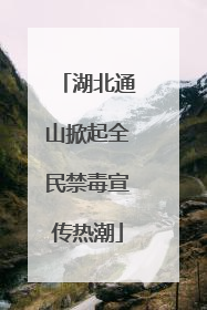 湖北通山掀起全民禁毒宣传热潮