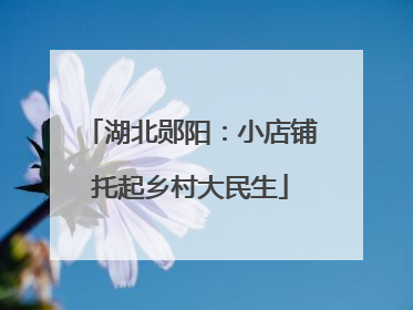 湖北郧阳：小店铺托起乡村大民生
