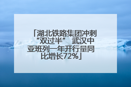 湖北铁路集团冲刺“双过半” 武汉中亚班列一年开行量同比增长72%