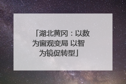 湖北黄冈：以数为窗观变局 以智为镜促转型