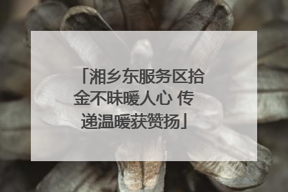 湘乡东服务区拾金不昧暖人心 传递温暖获赞扬