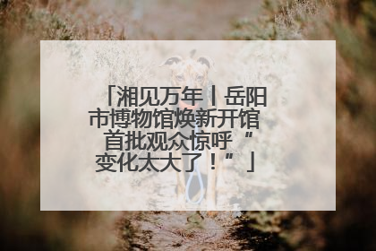 湘见万年丨岳阳市博物馆焕新开馆 首批观众惊呼“变化太大了！”