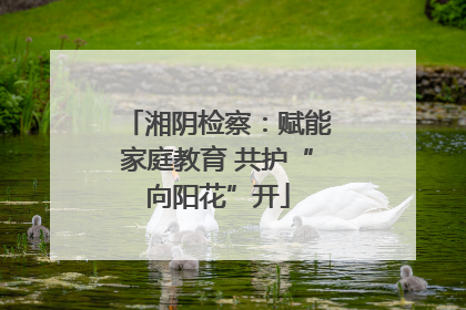 湘阴检察：赋能家庭教育 共护“向阳花”开