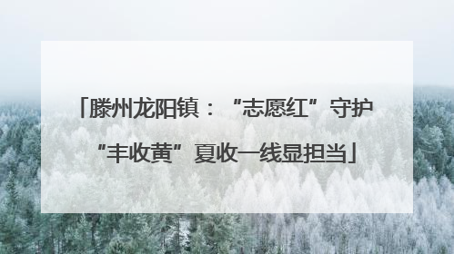 滕州龙阳镇：“志愿红”守护“丰收黄”夏收一线显担当