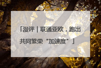 漫评｜联通亚欧，跑出共同繁荣“加速度”