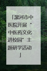 漯河市中医院开展“中医药文化进校园”主题研学活动