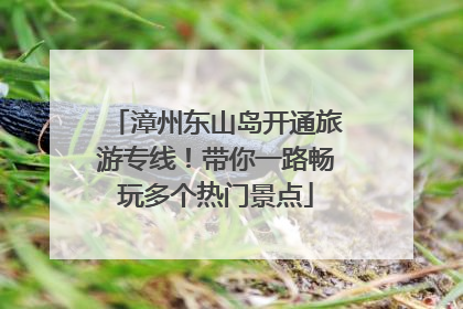 漳州东山岛开通旅游专线！带你一路畅玩多个热门景点