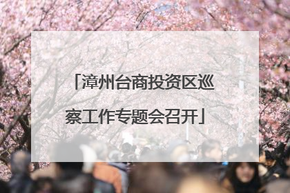 漳州台商投资区巡察工作专题会召开