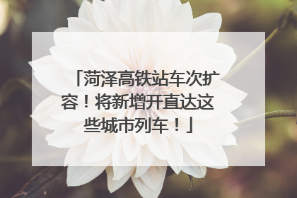 菏泽高铁站车次扩容！将新增开直达这些城市列车！