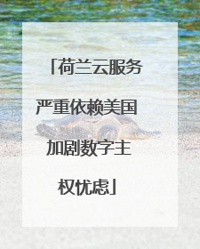 荷兰云服务严重依赖美国 加剧数字主权忧虑