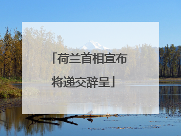 荷兰首相宣布将递交辞呈