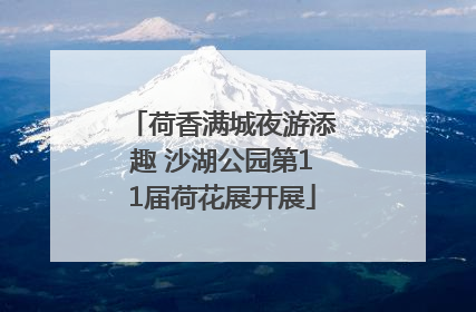 荷香满城夜游添趣 沙湖公园第11届荷花展开展