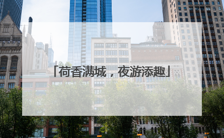 荷香满城，夜游添趣