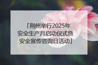 荆州举行2025年安全生产月启动仪式暨安全宣传咨询日活动