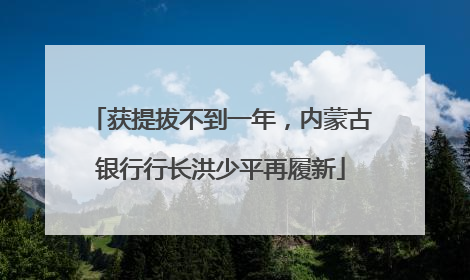 获提拔不到一年，内蒙古银行行长洪少平再履新