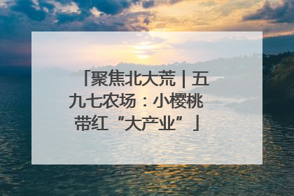 聚焦北大荒｜五九七农场：小樱桃带红“大产业”
