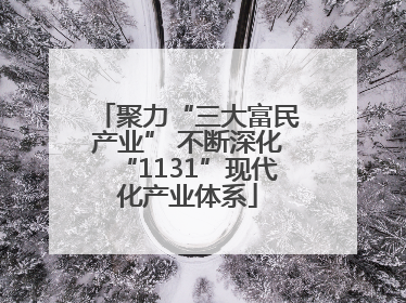 聚力“三大富民产业” 不断深化“1131”现代化产业体系