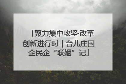聚力集中攻坚·改革创新进行时｜台儿庄国企民企“联姻”记