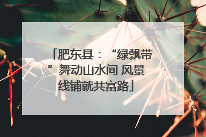 肥东县：“绿飘带”舞动山水间 风景线铺就共富路
