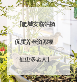 肥城安临站镇优质养老资源福祉更多老人