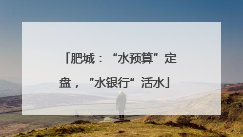 肥城：“水预算”定盘，“水银行”活水