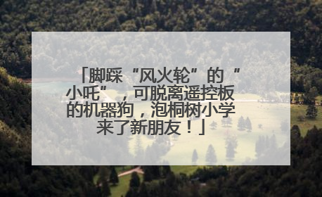 脚踩“风火轮”的“小吒”，可脱离遥控板的机器狗，泡桐树小学来了新朋友！