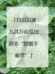 自贡沿滩：九洪万亩瓜田迎来“甜蜜丰收季”