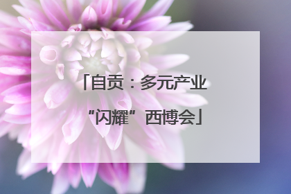 自贡：多元产业“闪耀”西博会
