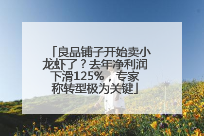 良品铺子开始卖小龙虾了？去年净利润下滑125%，专家称转型极为关键
