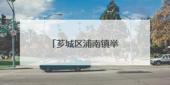 芗城区浦南镇举办端午系列活动