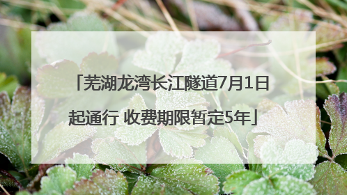 芜湖龙湾长江隧道7月1日起通行 收费期限暂定5年