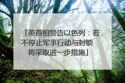 英首相警告以色列：若不停止军事行动与封锁 将采取进一步措施