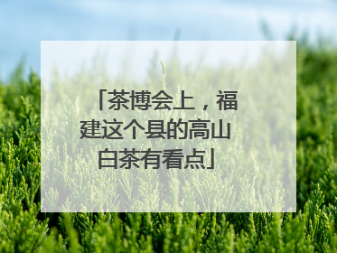 茶博会上，福建这个县的高山白茶有看点