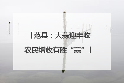 范县：大蒜迎丰收 农民增收有胜“蒜”