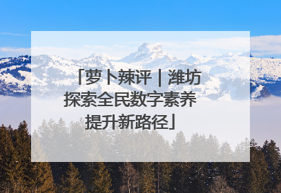 萝卜辣评｜潍坊探索全民数字素养提升新路径