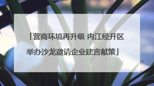 营商环境再升级 内江经开区举办沙龙邀请企业建言献策