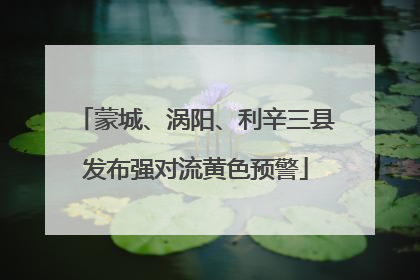 蒙城、涡阳、利辛三县发布强对流黄色预警